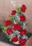 Imagem 12 de 16